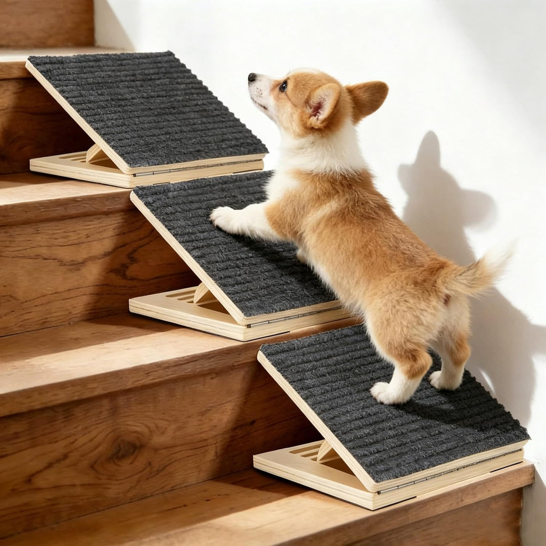 Hunderampe aus Holz mit Rutschfester Teppichoberfläche – Niedrige, schräge Rampe für kleine Hunde, i