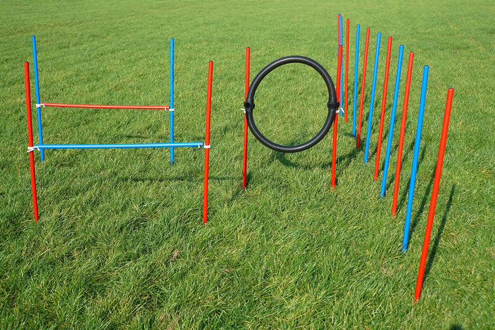 Wuzzmann Agility-ÜBUNGS-ANFÄNGER-Set BLAU/ROT SPRUNGRING/Slalom/HÜRDEN