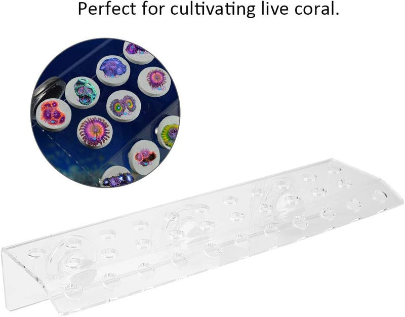 Aquarium Saugnapfhalter,Transparent Aquarium Korallenständer Ständer Korallen Frag Rack Acryl Korall
