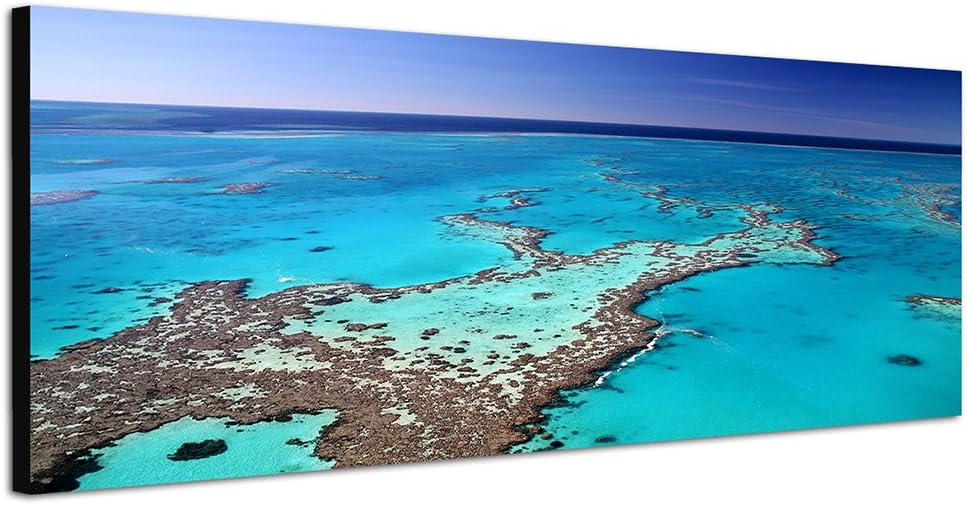 Paul Sinus Art Panoramabild auf Leinwand und Keilrahmen 150x50cm Great Barrier Riff Meer Insel