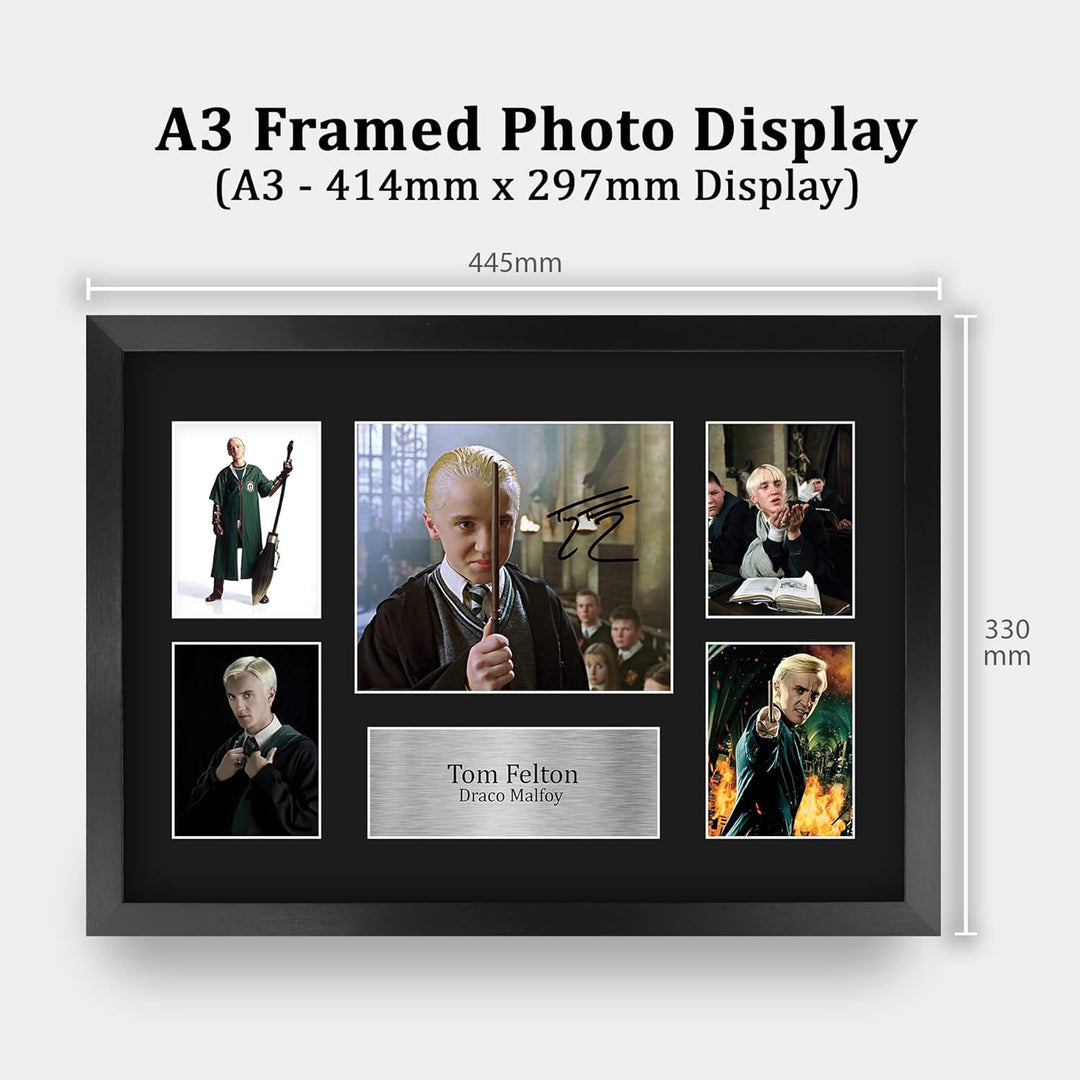 HWC Trading FR A3 Tom Felton Harry Potter Draco Malfoy Geschenke Gedruckt, Signiert Autogramm Bild D