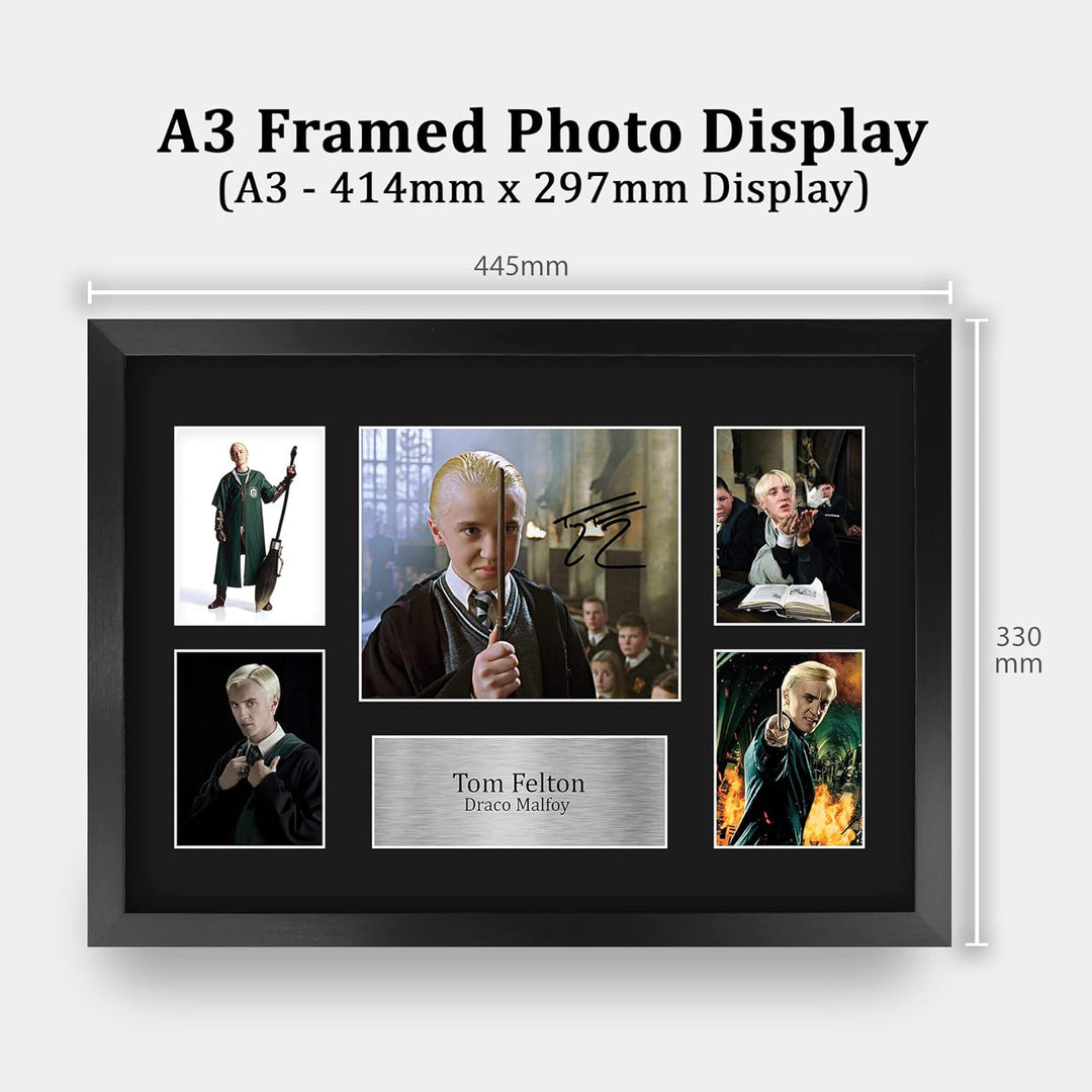 HWC Trading FR A3 Tom Felton Harry Potter Draco Malfoy Geschenke Gedruckt, Signiert Autogramm Bild D