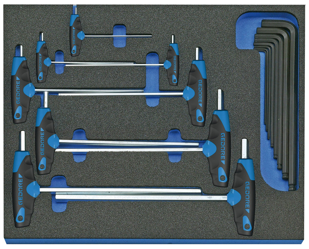 GEDORE Winkelschraubendreher-Satz in Check-Tool-Modul, 17-teilig, 1 Stück, 2005 CT2-DT 2142