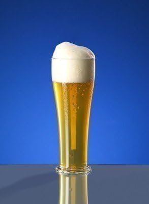 10 Stück Weizenbierglas 0,3l aus Kunststoff - Glasoptik