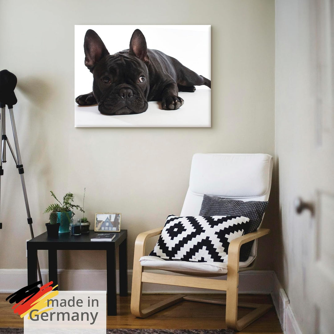 ARTland Leinwandbilder Wandbild Bild auf Leinwand 60x45 cm Tiere Haustiere Hund Fotografie Schwarz W