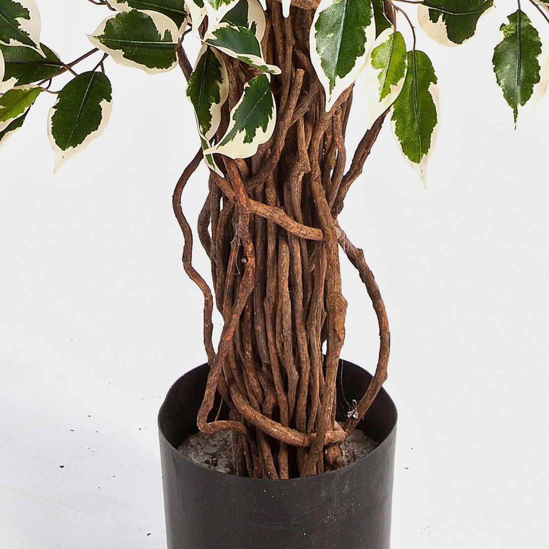 artplants.de Deko Ficus JARLAN, 430 Blätter und lianenartigem Stamm, grün-weiss, 120cm - Kunst Ficus