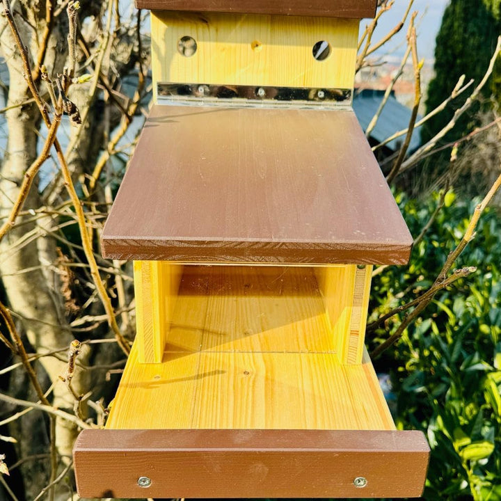 DARLUX Stabiles Eichhörnchen Futterstation I Wetterfest I verschraubtes Massivholz I Futterhaus Mass