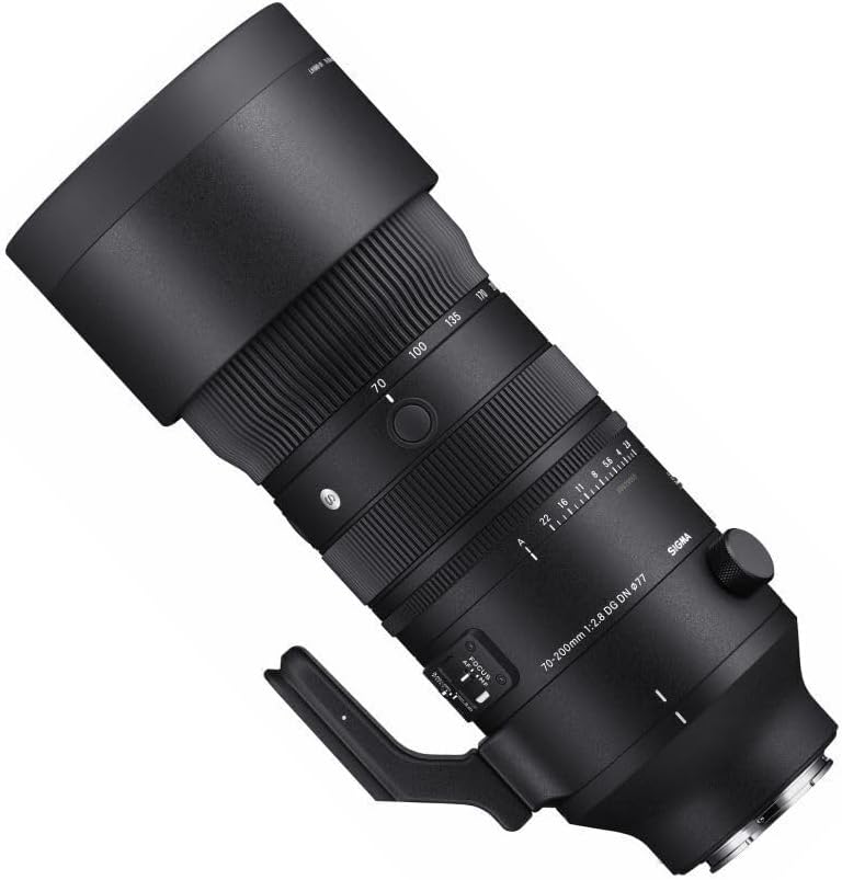 70–200 mm F2.8 DG DN OS für Sony