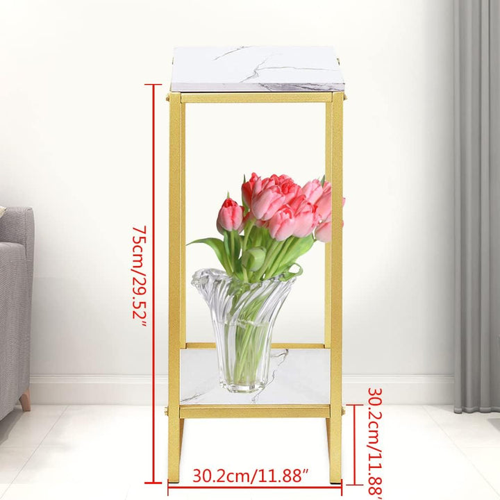 panfudongk Regale | Standregal | Lagerregal | Shelves | Shelf | Goldenes Eisen & Holz 2-stufiges Dis