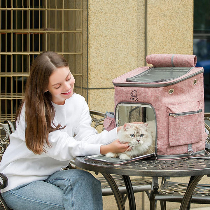 PETCUTE Hunderucksack,Faltbarer Katzenrucksack für Katzen und Hunde mit Abnehmbare Matte,Atmungsakti