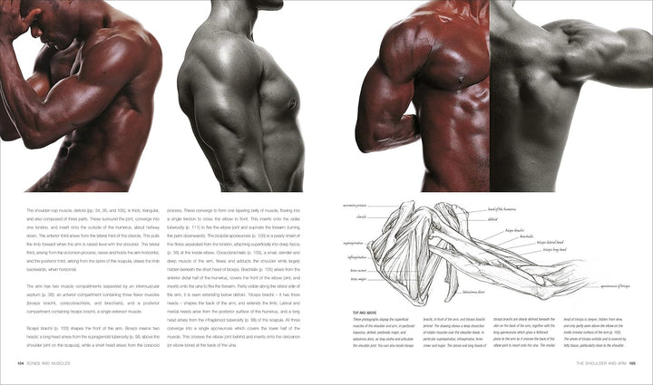 Anatomy for the Artist, Gebundenes Buch