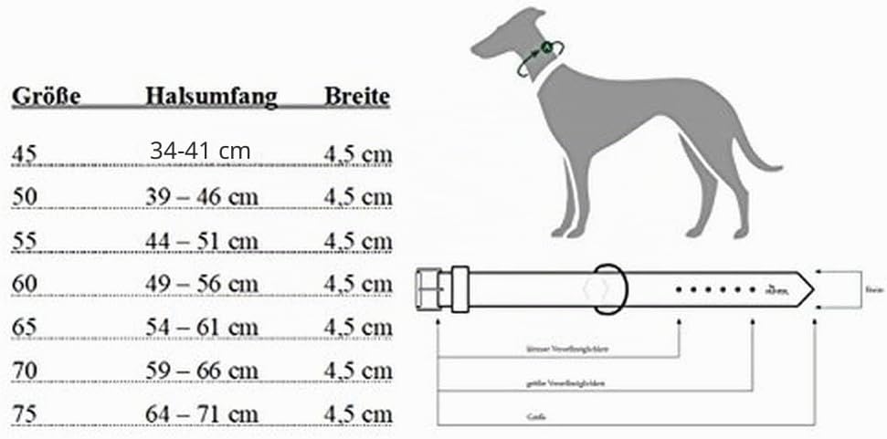 HUNTER Hundehalsband NEOPREN REFLECT, Farbe: rot/schwarz, weiche Polsterung, reflektierend, besonder