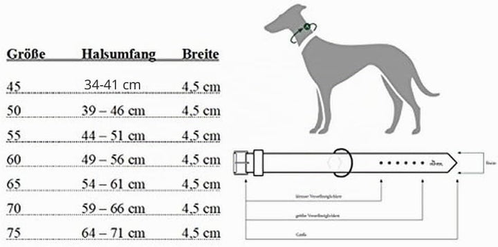 HUNTER Hundehalsband NEOPREN REFLECT, Farbe: rot/schwarz, weiche Polsterung, reflektierend, besonder