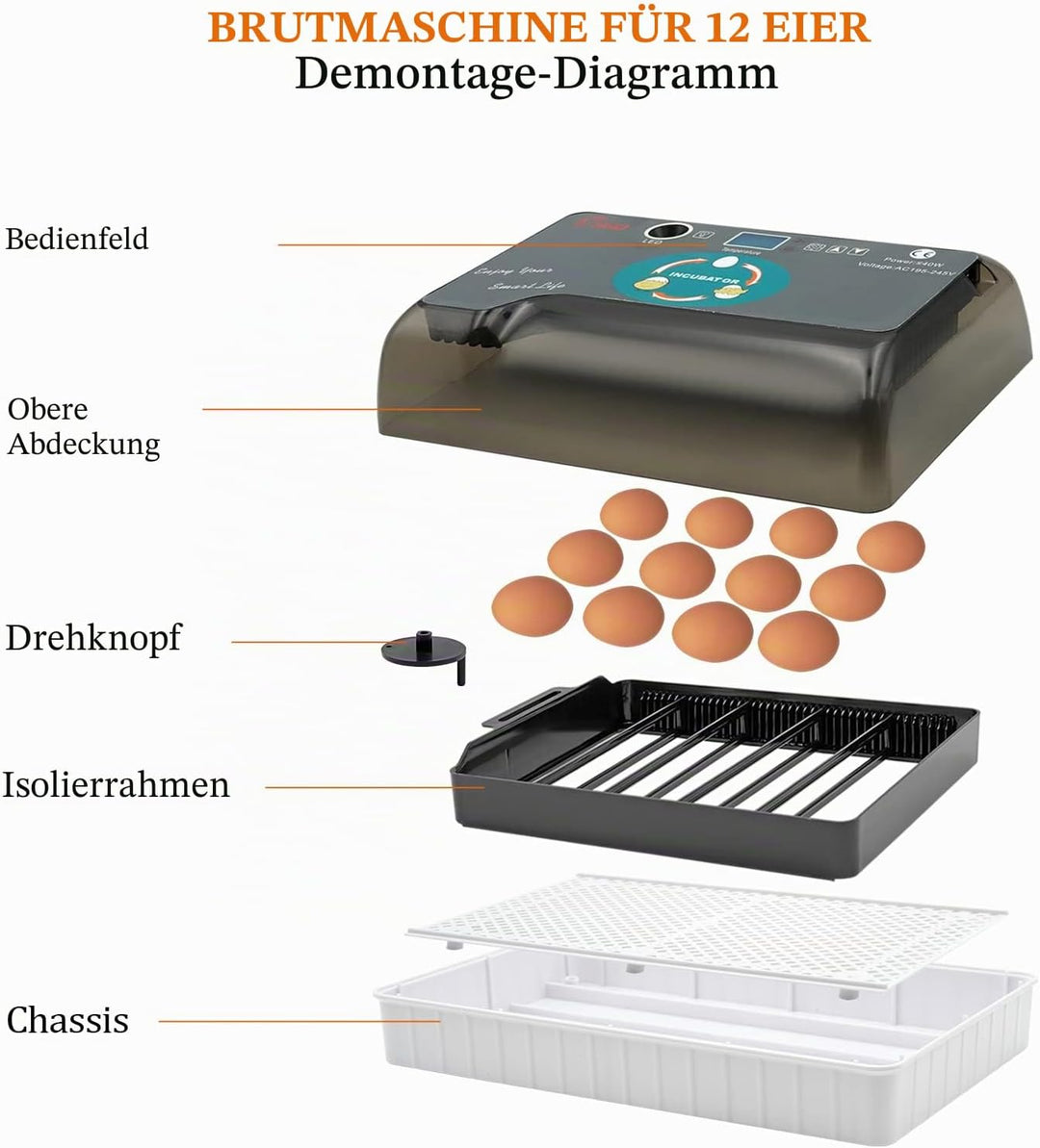 MasXirch 12 Eier Inkubator Automatisch mit Effizienter LED Beleuchtung,Inkubator Brutkasten Motorbrü