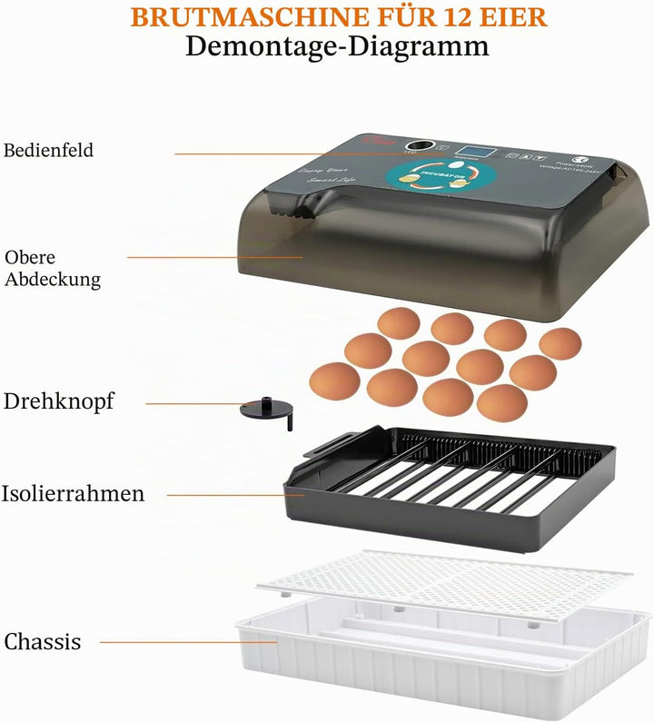 MasXirch 12 Eier Inkubator Automatisch mit Effizienter LED Beleuchtung,Inkubator Brutkasten Motorbrü