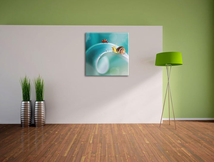 Pixxprint eine Schnecke und Marienkäfer auf Einer Pflanze, Format: 70x70 auf Leinwand, 70x70