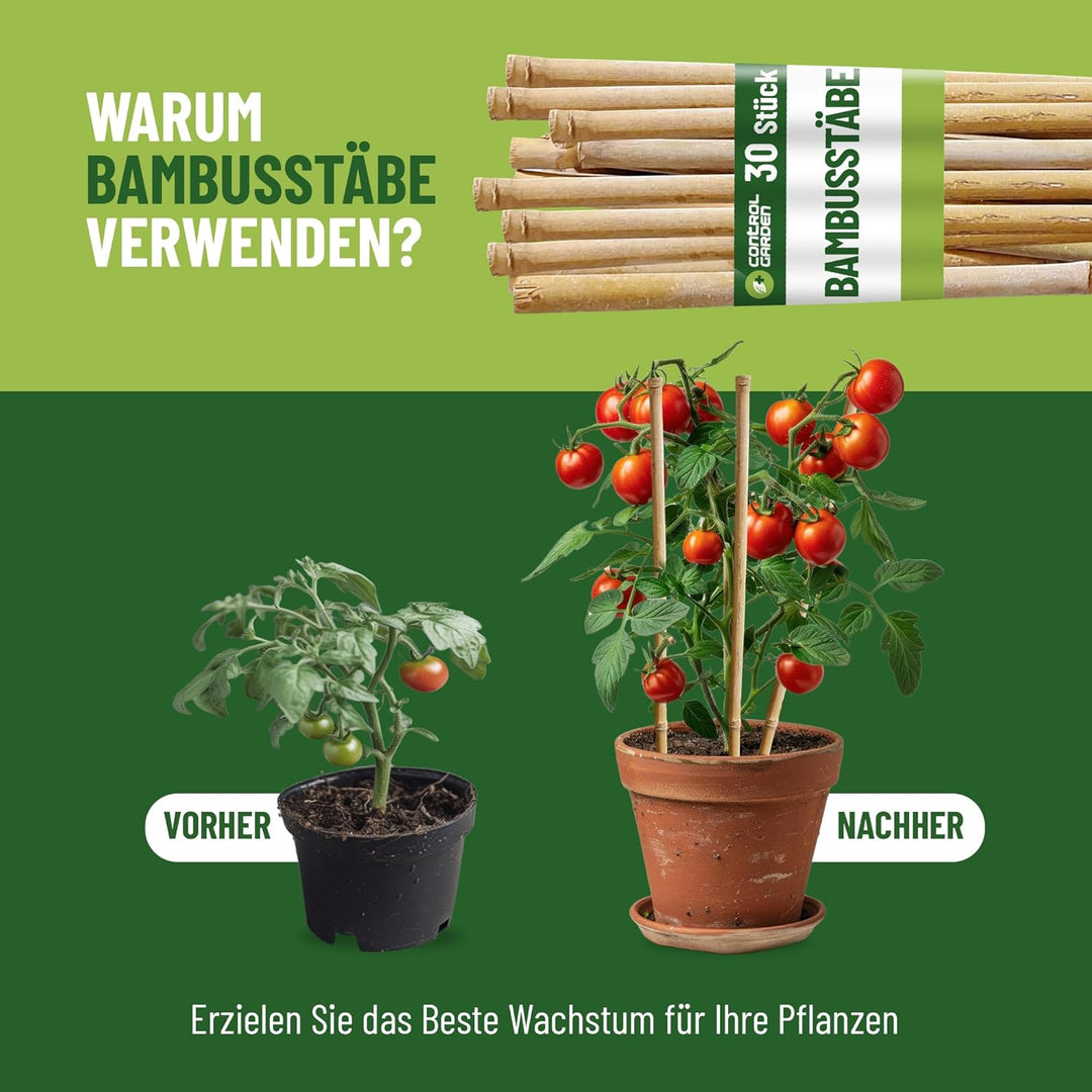 Control Garden Pack 30 Stück Bio Bambus Tutor 120 cm | Naturpfahl Zuckerrohr Pflanzenhalter Gartenst