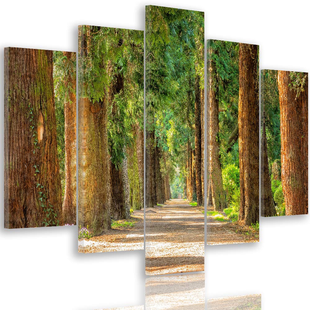 Feeby Bild auf Leinwand Landschaft 5 Teilig Modern Natur Allee Wald bunt 200x100 cm Leinwandbild 200