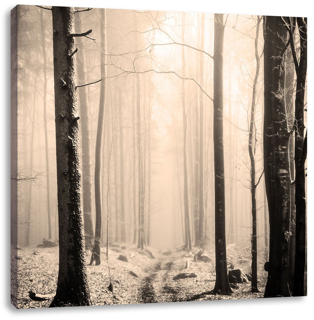 Pixxprint Mystischer Wald Schwarz/Weiss, Format: 70x70 auf Leinwand, 70x70