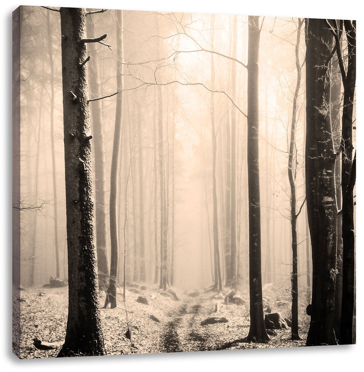 Pixxprint Mystischer Wald Schwarz/Weiss, Format: 70x70 auf Leinwand, 70x70