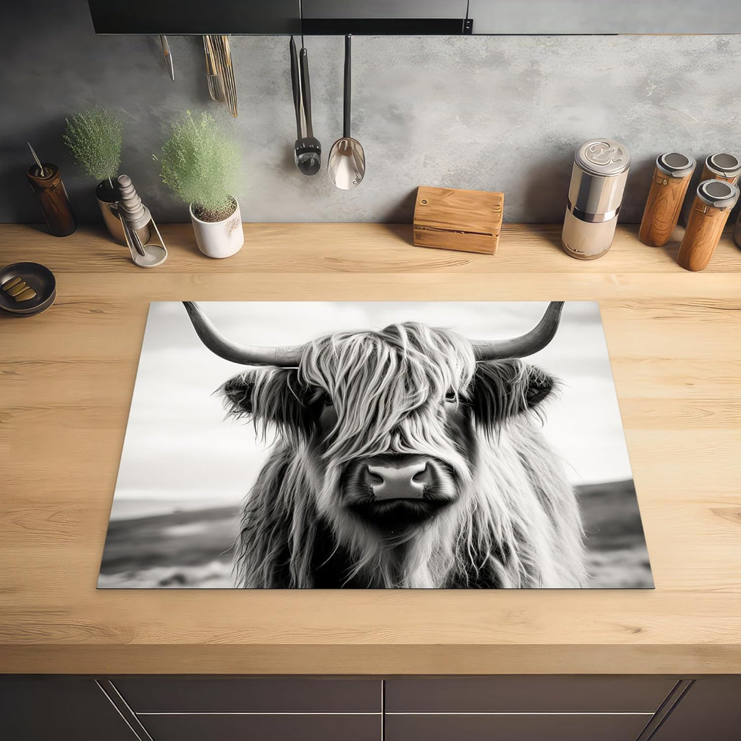 Herdabdeckplatte 70x52 cm Einteilig Ceranfeld Abdeckplatte für Induktionsschutz Ceranfeldabdeckung V