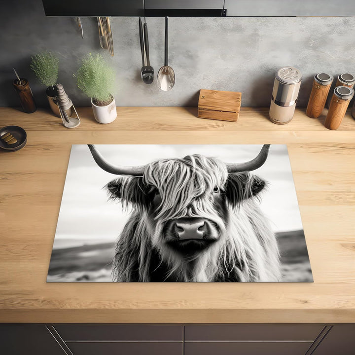 Herdabdeckplatte 70x52 cm Einteilig Ceranfeld Abdeckplatte für Induktionsschutz Ceranfeldabdeckung V