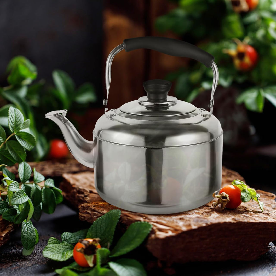 TOPBATHY Edelstahl Kessel Induktion Wasserkessel 3L Pfeifteekocher Edelstahl Campingkocher herd Wass