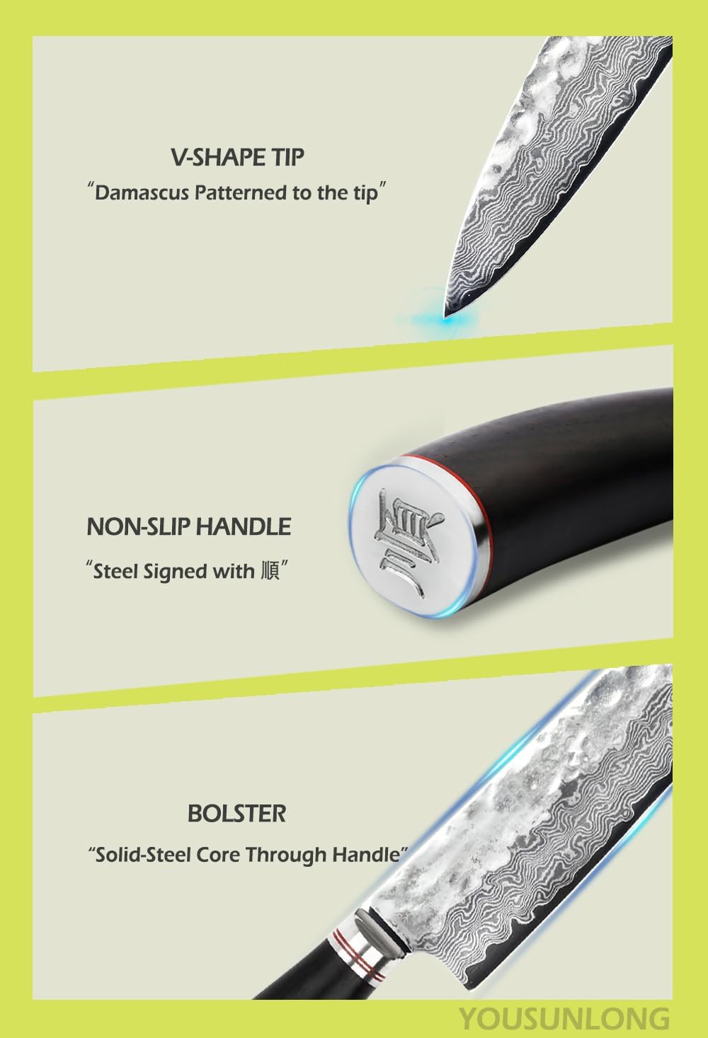 YOUSUNLONG Kochmesser 10 Zoll Pro Gyuto Japanisch Gehämmerter Damaststahl Natur Bleiholzgriff mit Le