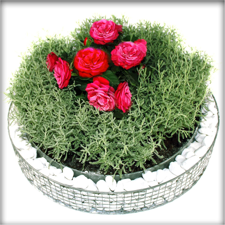 Pflanzschale Kreis-Gitter Garten Grabschmuck Grabgestaltung Friedhof Ø 50 cm mit Trennblech und Kies