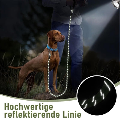 X XBEN Schleppleine, 3M 5M 6M 9M 10M 15M 20M 25M 30M Starke Hundeleine mit Bequemen Gepolsterter Gri