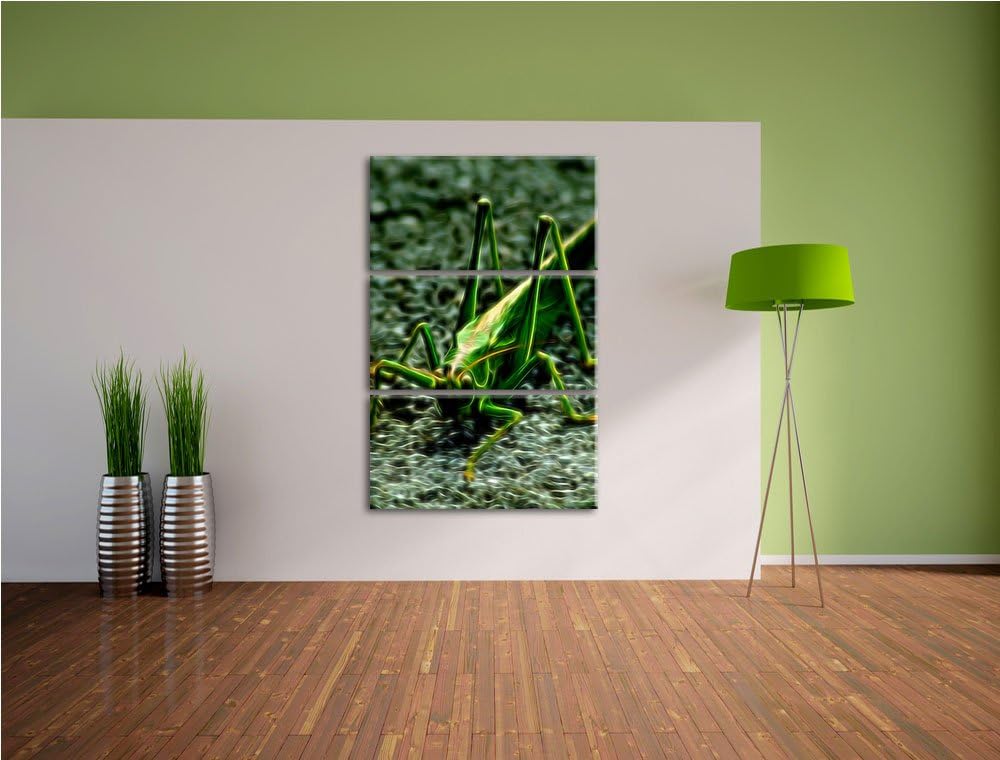 freche kleine Heuschrecke NewArt 3-Teiler Leinwandbild 120x80 Bild auf Leinwand, XXL riesige Bilder