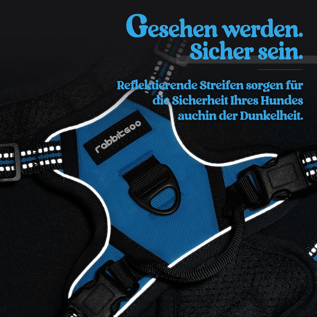 rabbitgoo Hundegeschirr Kleine Hunde, Anti Zug Geschirr mit Kontrolle, No Pull Verstellbar Hundegesc