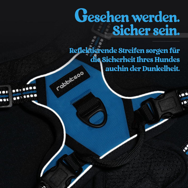rabbitgoo Hundegeschirr Kleine Hunde, Anti Zug Geschirr mit Kontrolle, No Pull Verstellbar Hundegesc