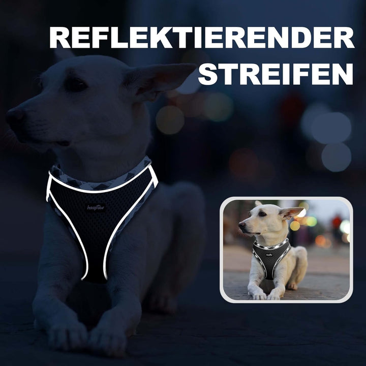haapaw Hundegeschirr und Leine Set, kein Ziehen, verstellbares, reflektierendes Step-in-Welpengeschi