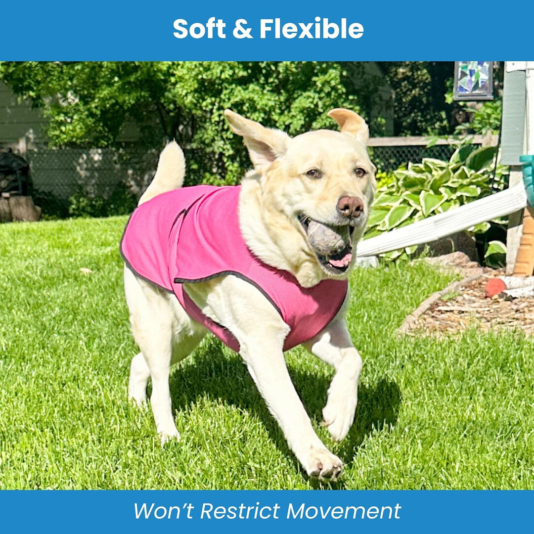 DOGZSTUFF Kühlweste für Hunde, leichte Jacke mit verdunstender Kühl-Mikrofaser-Technologie, UV-Schut