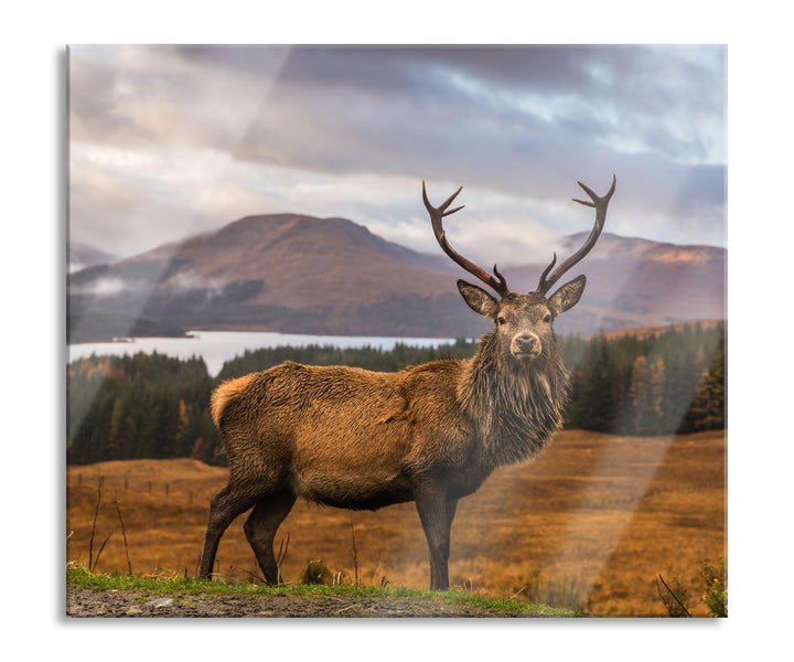 Hirsch in atemberaubender Landschaft Herdabdeckplatte & Spritzschutz aus Echtglas | Für Herd-Kochfel