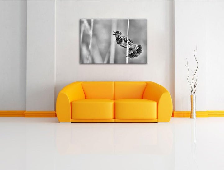 Pixxprint schönes kleines Blaukehlchen als Leinwandbild/Grösse: 100x70 / Wandbild/Kunstdruck/fertig