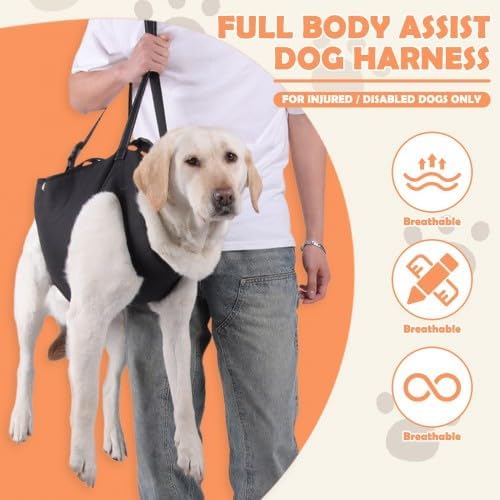 Hunde Tragehilfe, Tragehilfe Hund Treppe Verstellbare Gehhilfe für Hunde, Hundeliftgeschirr für Hint