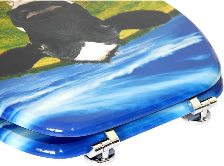 Sanilo WC Sitz, viele schöne Toilettendeckel zur Auswahl, hochwertige und stabile Qualität aus Holz