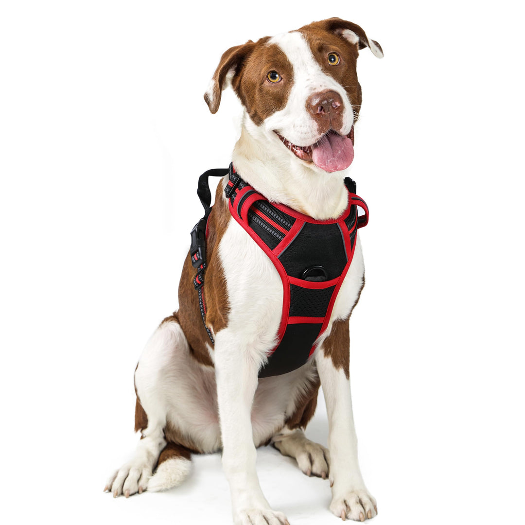 rabbitgoo Hundegeschirr Mittelgrosse Hunde, Anti Zug Geschirr mit Kontrolle, No Pull Verstellbar Hun
