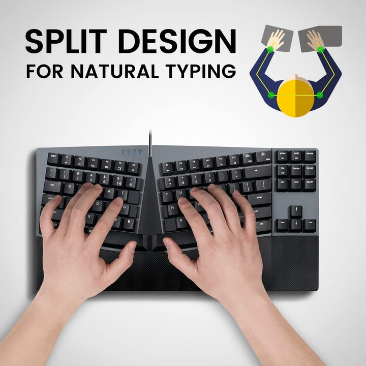 Perixx PERIBOARD335BL Kabelgebundene ergonomische mechanische kompakte Tastatur – Flache Blaue Klick