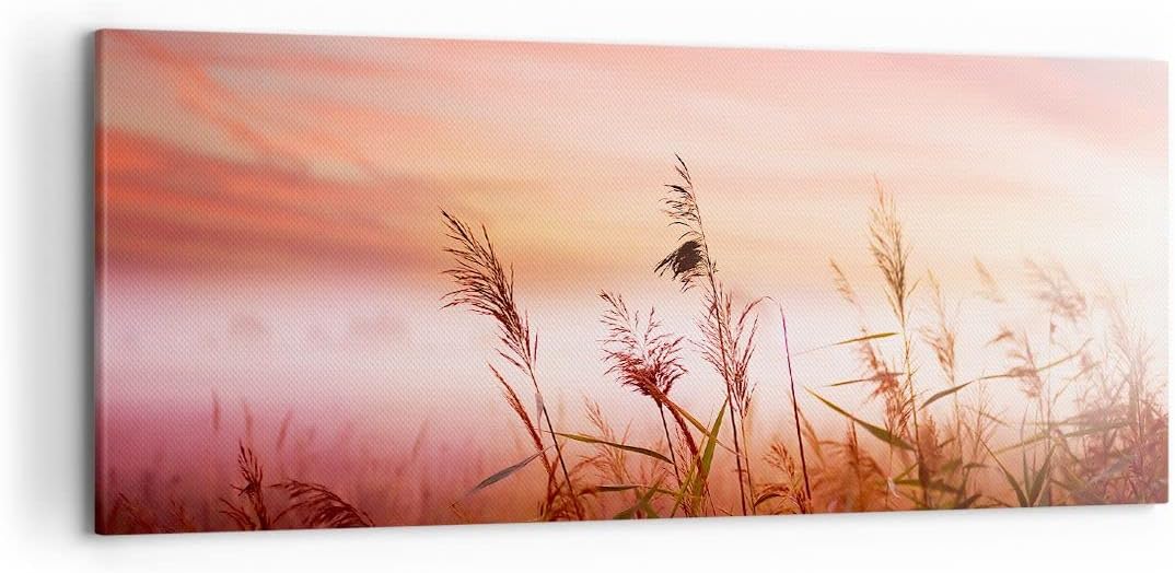 Wandbilder Dekoration Wohnzimmer Wiese Getreide Natur Panorama Bilder auf Leinwand 120x50cm Leinwand