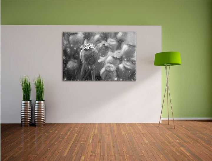 Pixxprint Mohnkapsel der Mohnblume Kunst als Leinwandbild/Grösse: 100x70 cm/Wandbild/Kunstdruck/fert