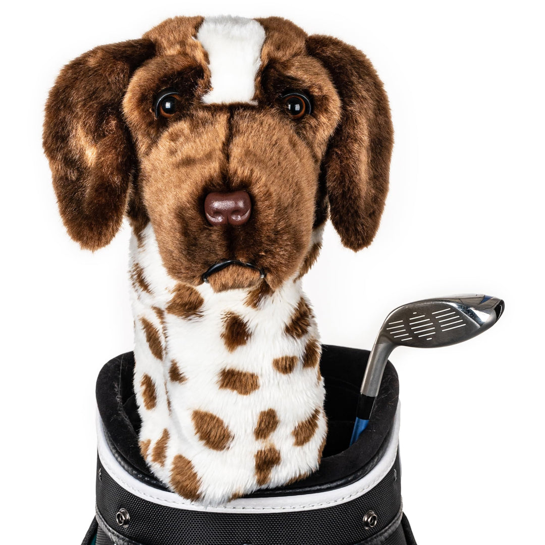 Daphne's Headcovers Deutscher Kurzhaarzeiger