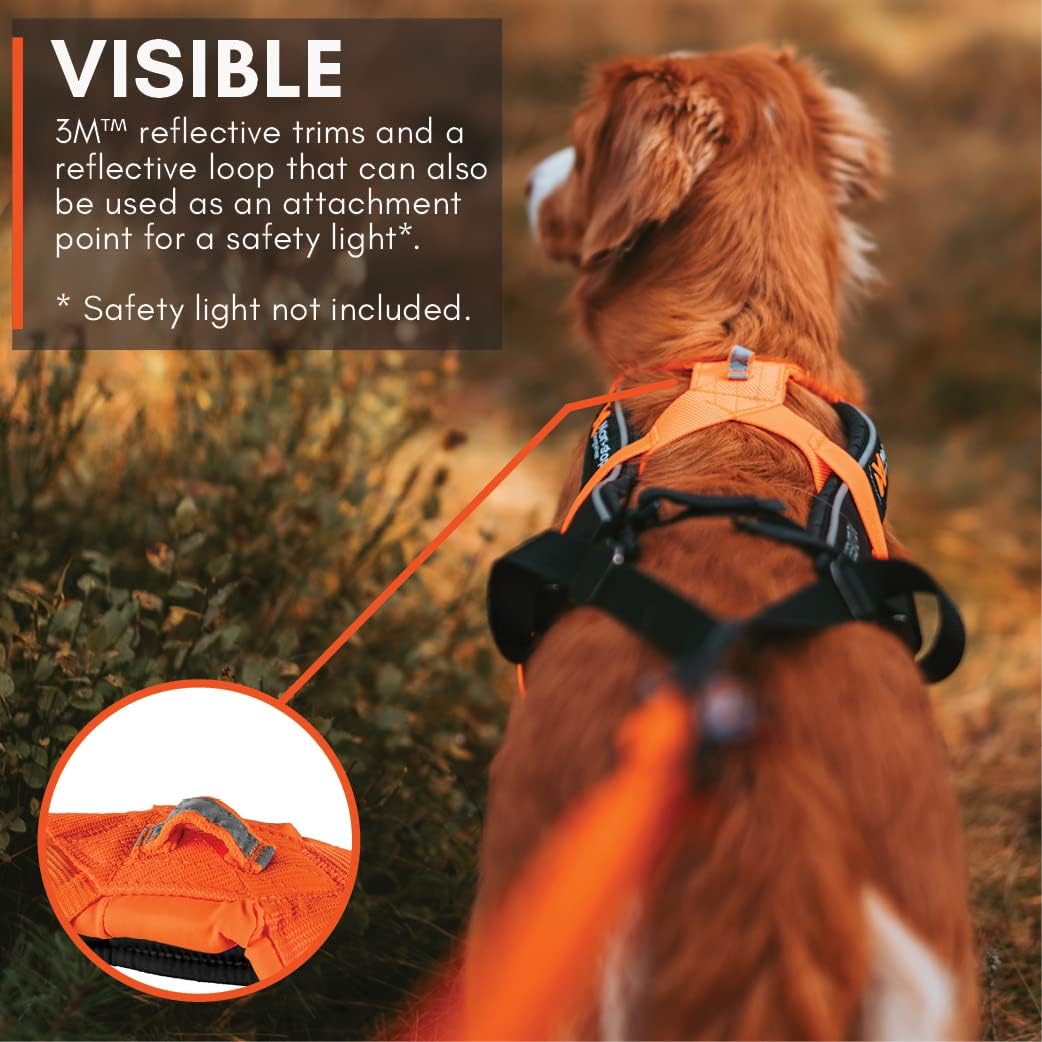Non-Stop dogwear Freemotion Harness 5.0 | Hunde-Geschirr für alle Sportarten, Grösse:Grösse 8 schwar