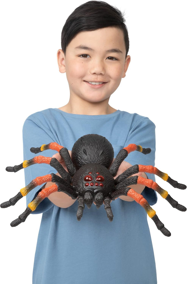 Robo Alive Tarantel, 38,5 cm, batteriebetriebenes Roboterspielzeug, realistische Bewegungen, Spielze