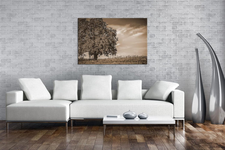deyoli Herbstliche Landschaft Format: 80x60 als Leinwand, Effekt: Sepia, Motiv fertig gerahmt auf Ec