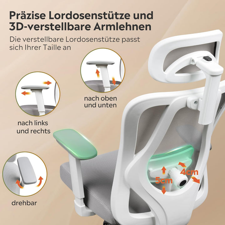 DEVAISE Bürostuhl Ergonomisch: Schreibtischstuhl mit Wippfunktion, Verstellbarer Kopfstütze & Lenden