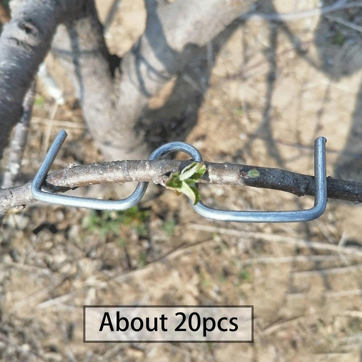 Colcolo Astzieher Halter für Obstzweige, Astfixierer Zweigspreize für Gartenbäume, Pflanzenstütze fü