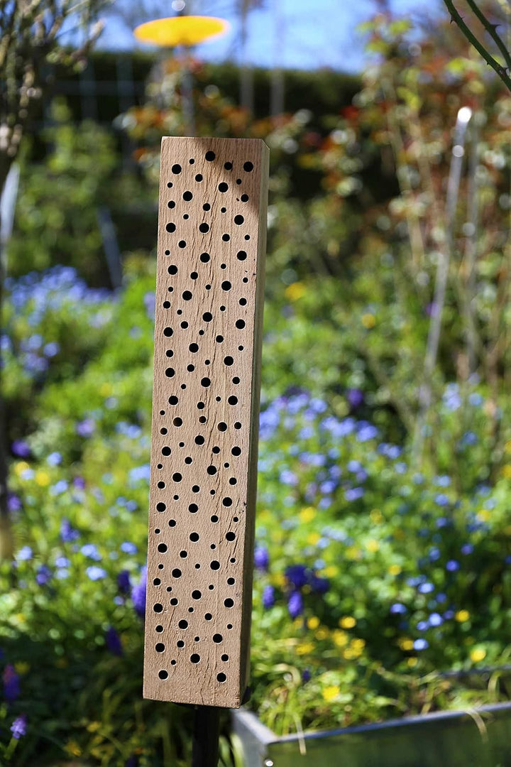 Bienenhotel Stamm Insektenhotel Wildbienen Eiche Massivholz Hartholz Wildbienenhotel Nisthilfe Biene